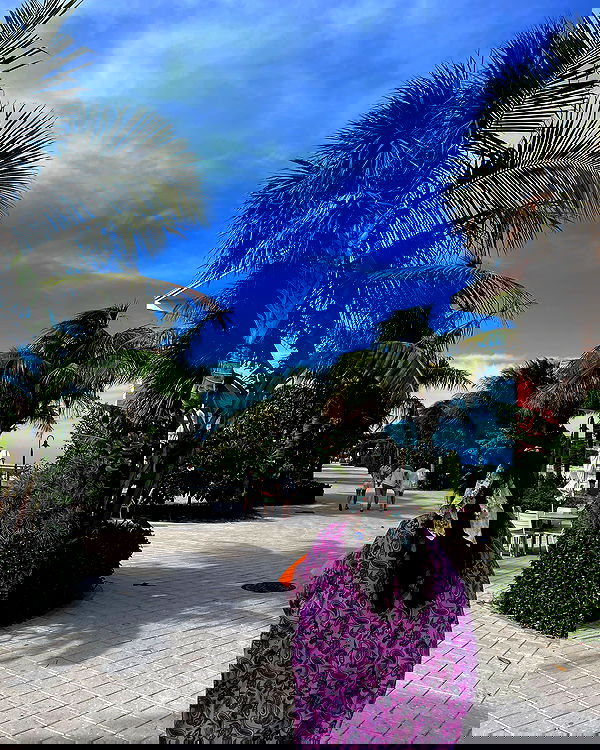 lihi.stoller lihi.stoller archive image