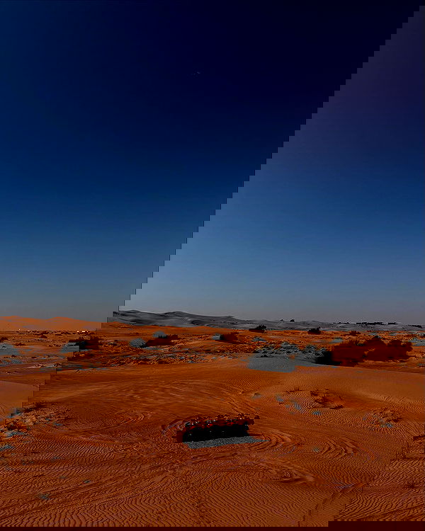 lihi.stoller lihi.stoller archive image