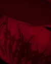 liiuuar Altpins Profile Picture