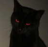 liiuuarr Altpins Profile Picture
