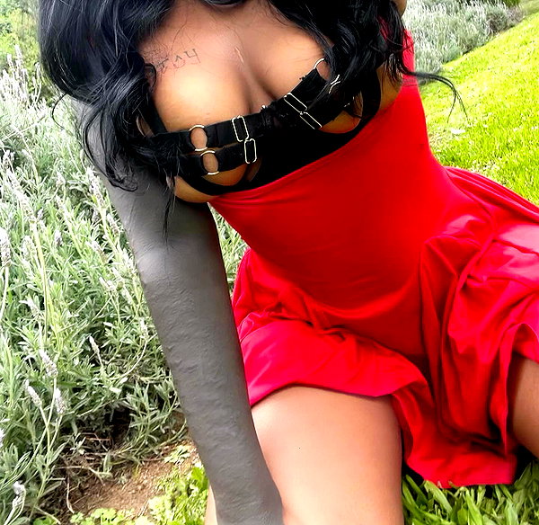 liiuuarr instagram image archive image