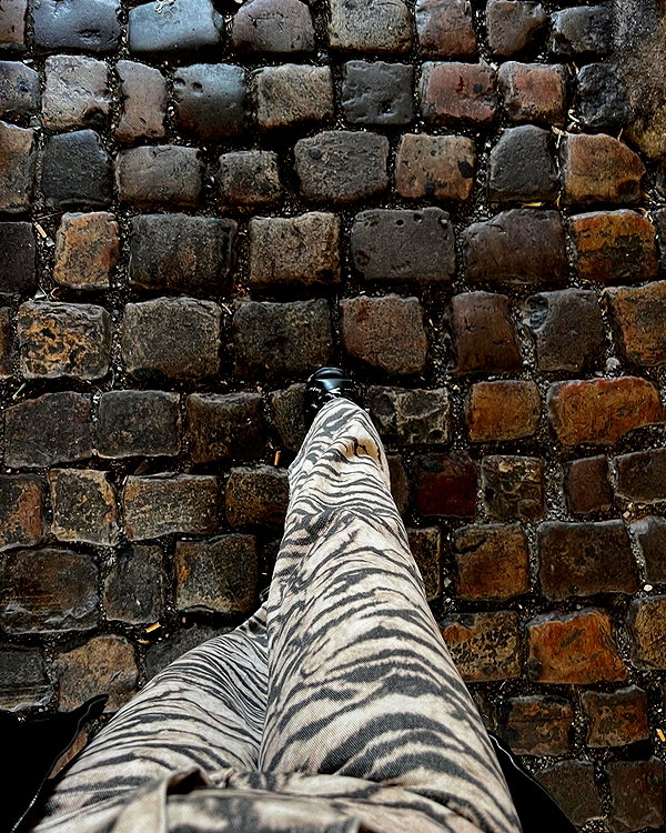 liiuuarr instagram image archive image