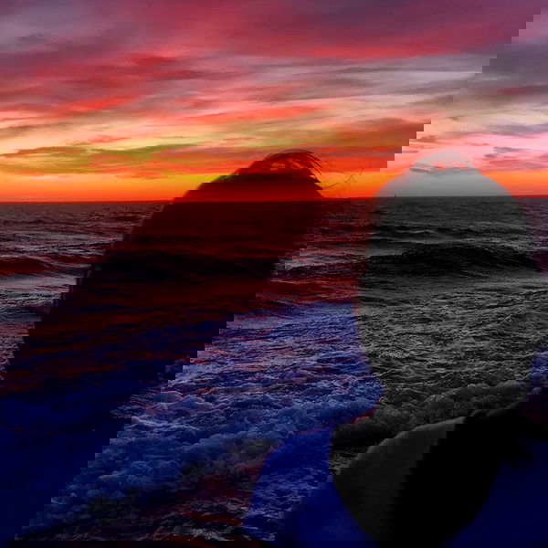 lilarosepalaza lilarosepalaza archive image