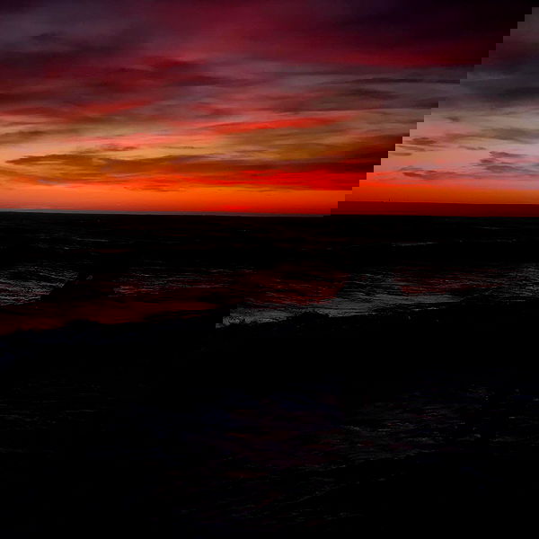 lilarosepalaza lilarosepalaza archive image