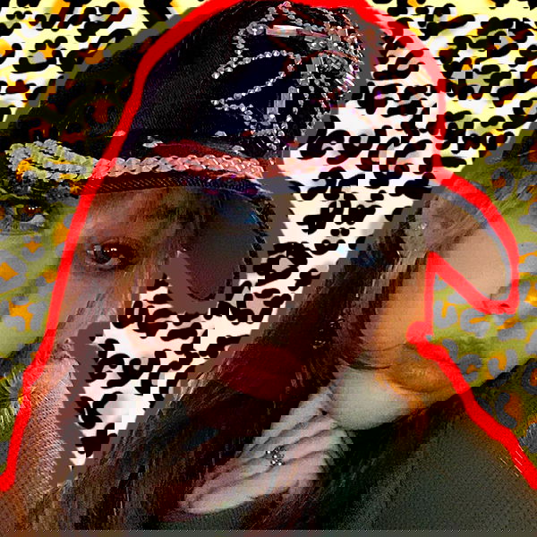 lilarosepalaza lilarosepalaza archive image