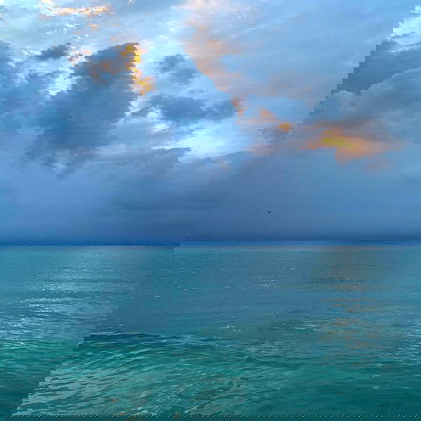 lilarosepalaza lilarosepalaza archive image