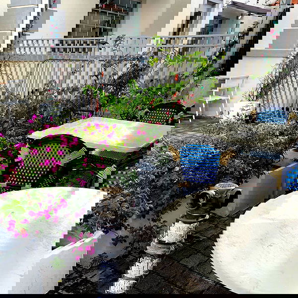 lilarosepalaza lilarosepalaza archive image