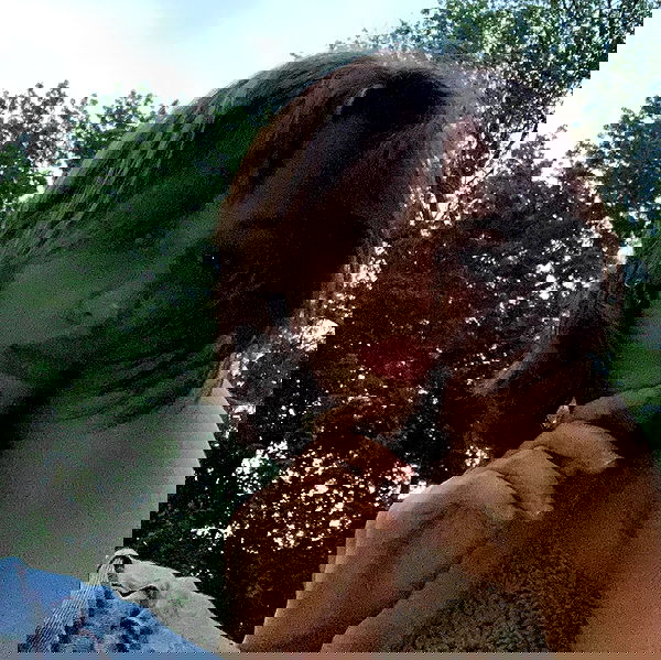 lilarosepalaza lilarosepalaza archive image