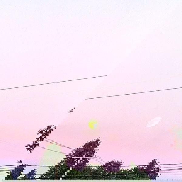 lilarosepalaza lilarosepalaza archive image