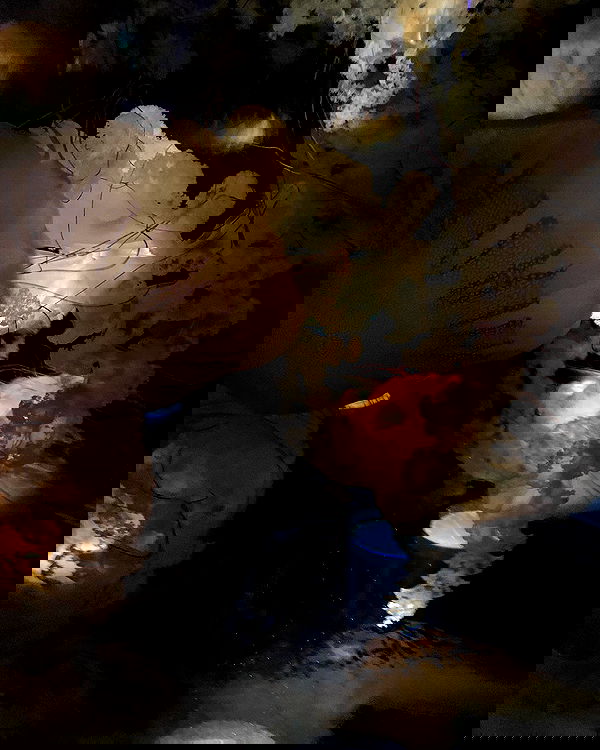 lilarosepalaza lilarosepalaza archive image