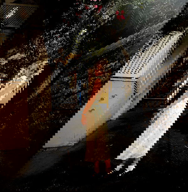 lilarosepalaza lilarosepalaza archive image