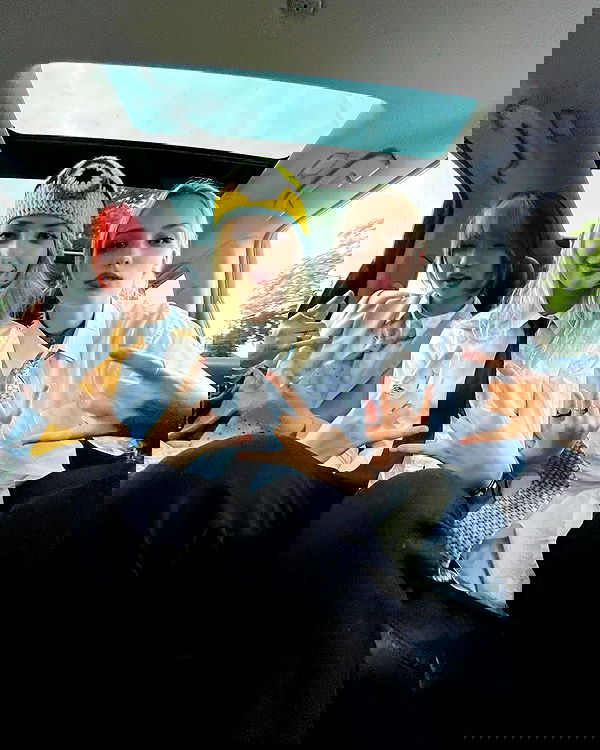 lilarosepalaza lilarosepalaza archive image