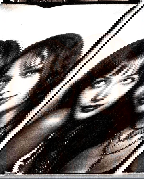 lilarosepalaza lilarosepalaza archive image