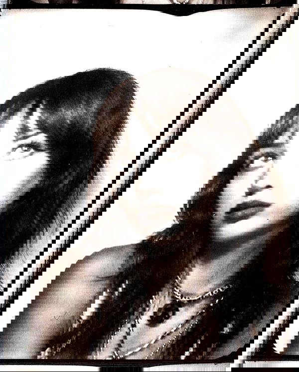 lilarosepalaza lilarosepalaza archive image