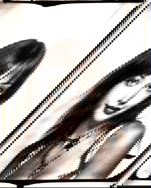 lilarosepalaza lilarosepalaza archive image