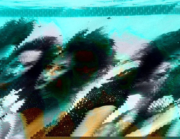 lilarosepalaza lilarosepalaza archive image