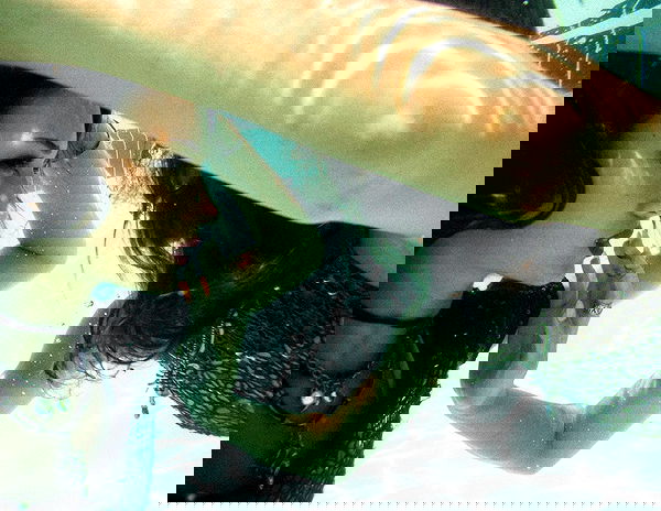 lilarosepalaza lilarosepalaza archive image