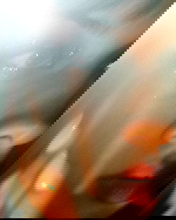 lilarosepalaza lilarosepalaza archive image