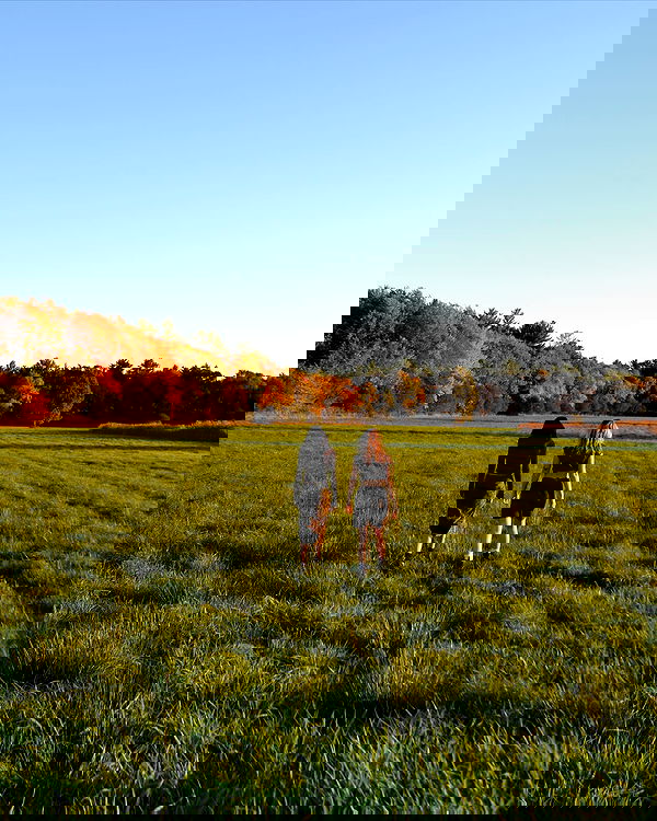 lilarosepalaza lilarosepalaza archive image