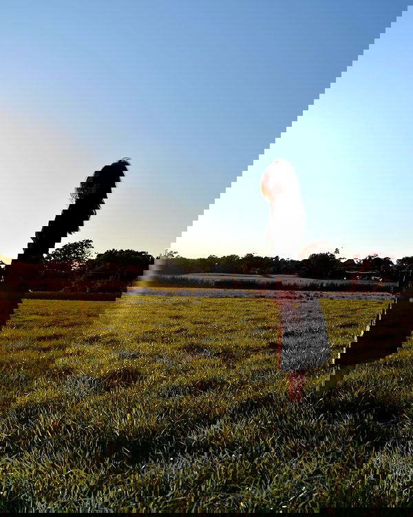 lilarosepalaza lilarosepalaza archive image