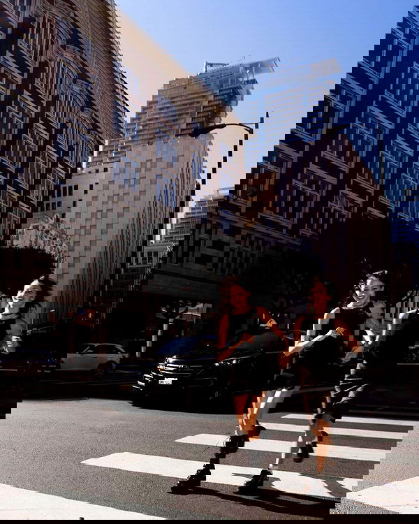 lilarosepalaza lilarosepalaza archive image