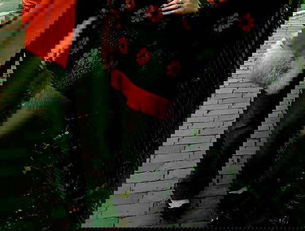 lilarosepalaza lilarosepalaza archive image