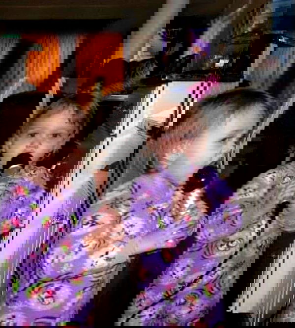 lilarosepalaza lilarosepalaza archive image