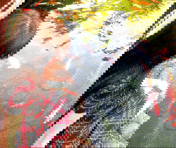 lilarosepalaza lilarosepalaza archive image