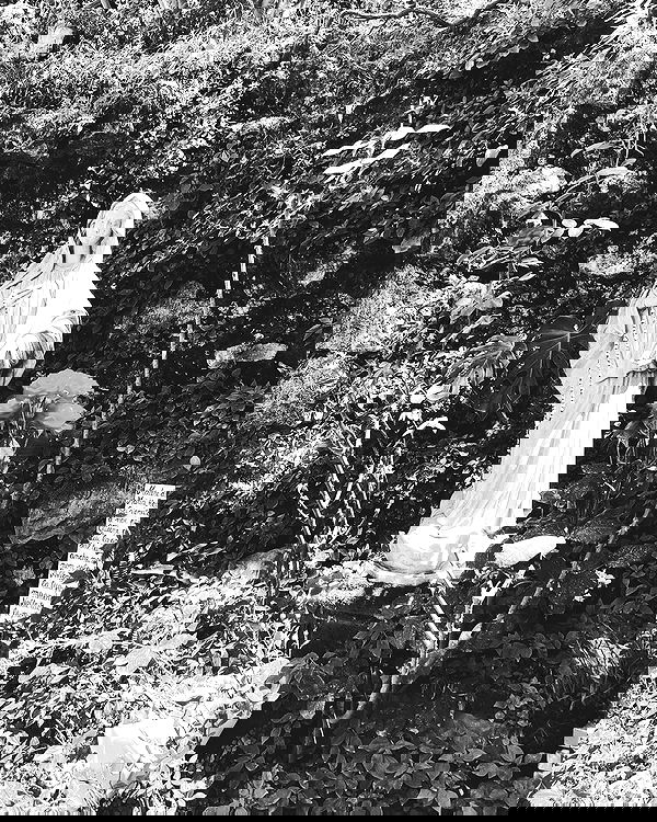 lilarosepalaza lilarosepalaza archive image