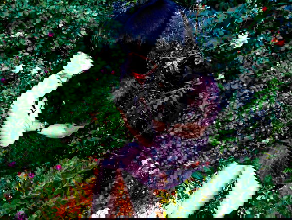 lilarosepalaza lilarosepalaza archive image