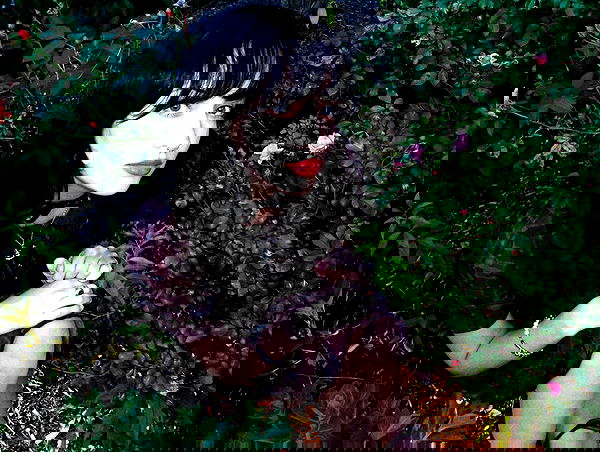 lilarosepalaza lilarosepalaza archive image