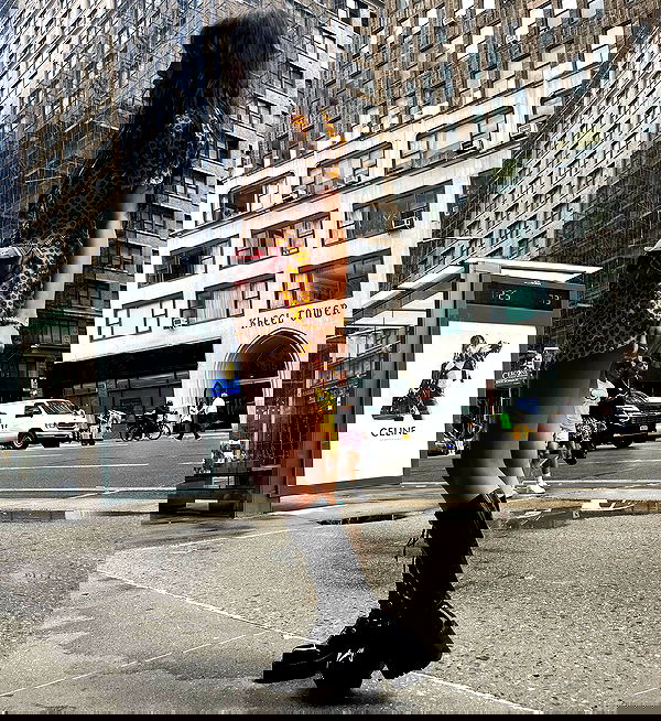 lilarosepalaza lilarosepalaza archive image