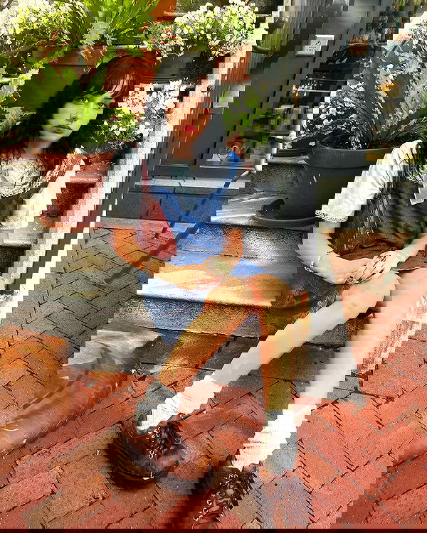 lilarosepalaza lilarosepalaza archive image