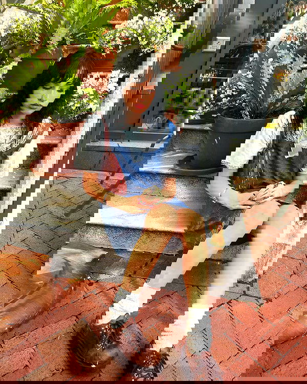 lilarosepalaza lilarosepalaza archive image