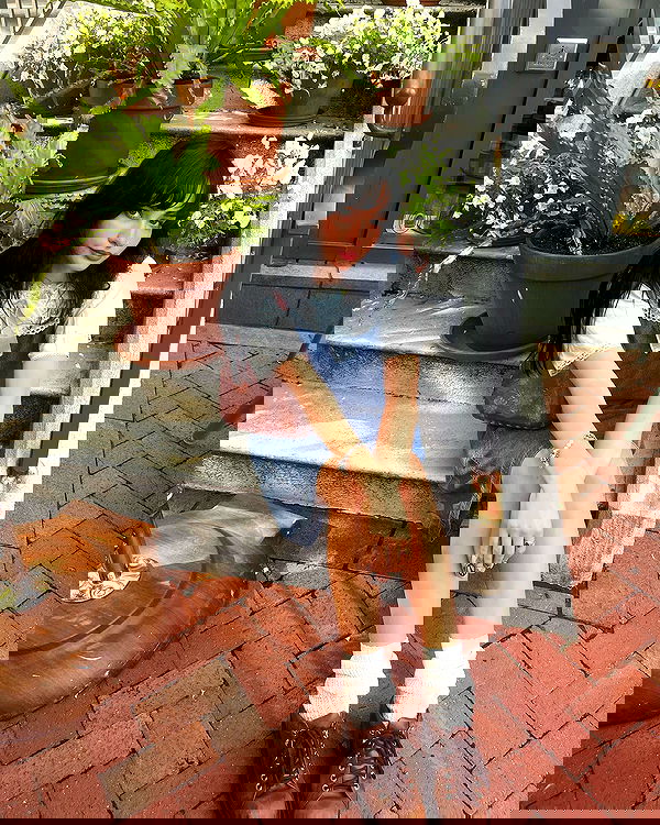 lilarosepalaza lilarosepalaza archive image