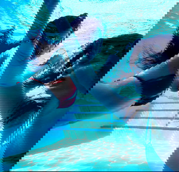 lilarosepalaza lilarosepalaza archive image