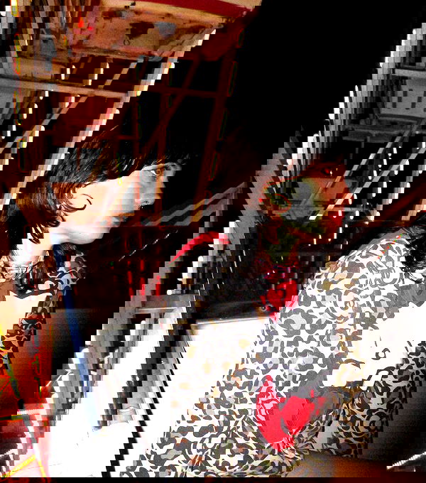 lilarosepalaza lilarosepalaza archive image