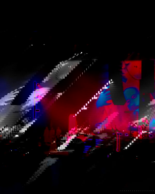 lilarosepalaza lilarosepalaza archive image