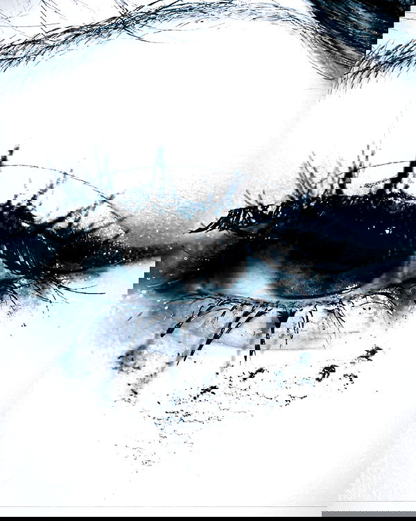 lilarosepalaza lilarosepalaza archive image