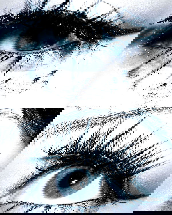 lilarosepalaza lilarosepalaza archive image