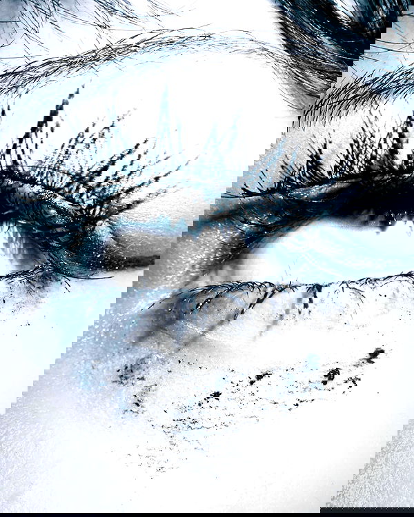 lilarosepalaza lilarosepalaza archive image