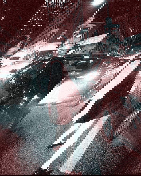 lilarosepalaza lilarosepalaza archive image