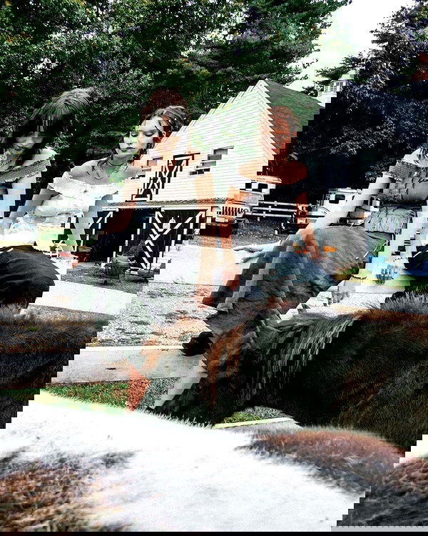 lilarosepalaza lilarosepalaza archive image