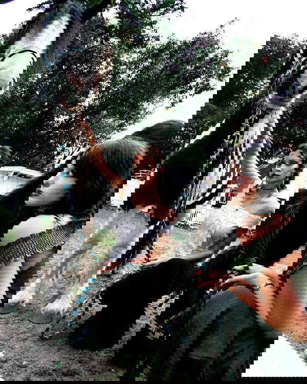 lilarosepalaza lilarosepalaza archive image