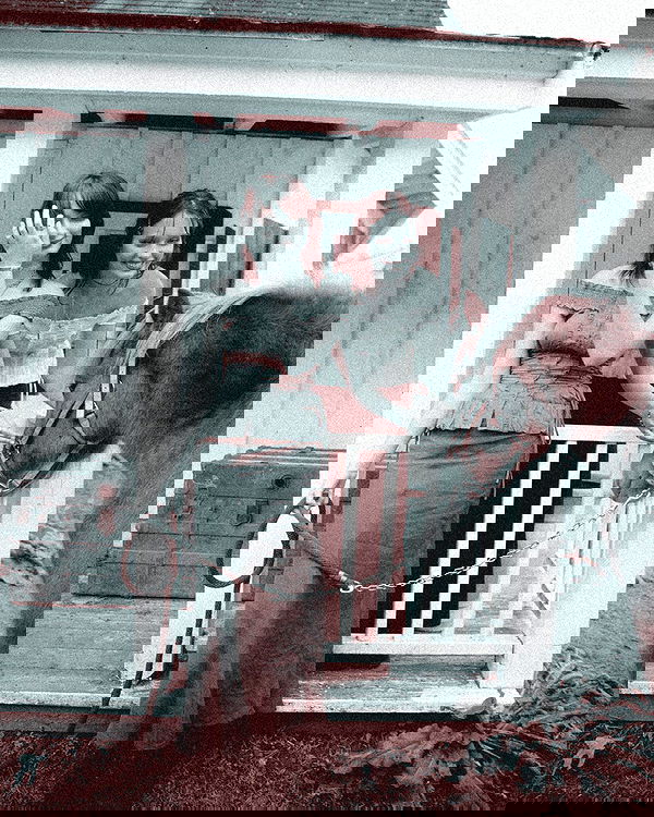 lilarosepalaza lilarosepalaza archive image