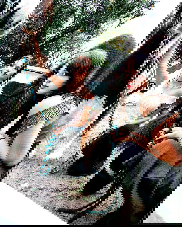 lilarosepalaza lilarosepalaza archive image