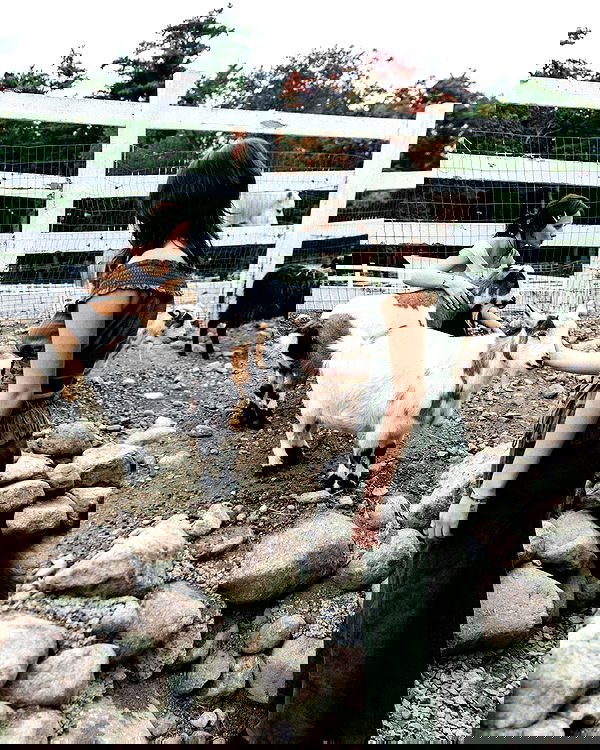 lilarosepalaza lilarosepalaza archive image