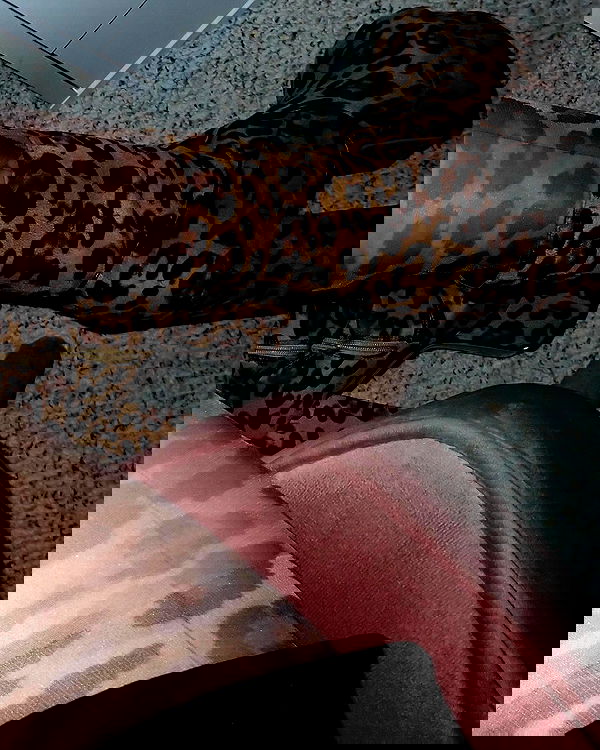 lilarosepalaza lilarosepalaza archive image