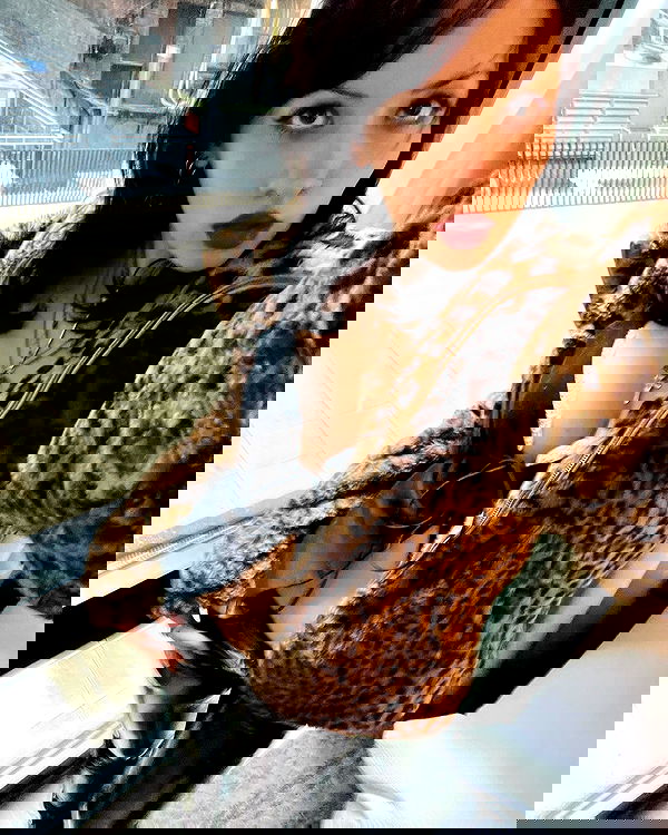 lilarosepalaza lilarosepalaza archive image