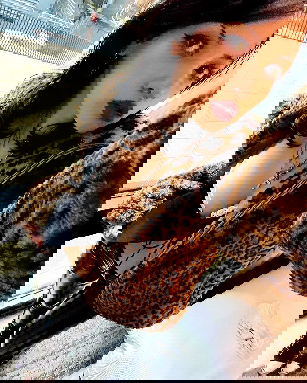 lilarosepalaza lilarosepalaza archive image